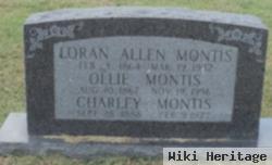 Loran Allen Montis