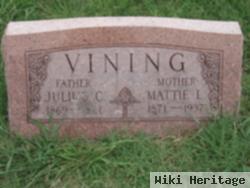 Mattie L. Johnson Vining