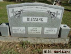 Harry S Blessing, Jr