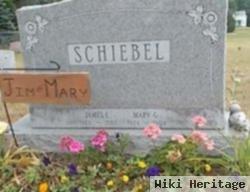 Mary G Schiebel