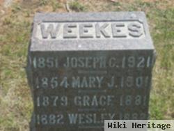 Mary J. Barnett Weekes