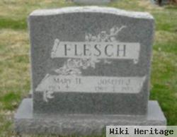 Joseph J Flesch