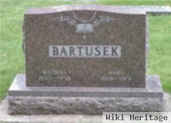 Mary C Lukes Bartusek