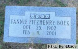 Fannie Fitzhenry Boek