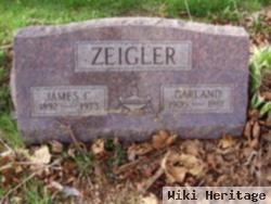 James C Zeigler