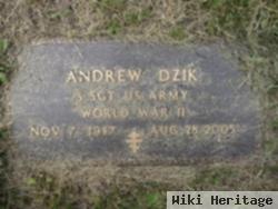 Andrew Dzik