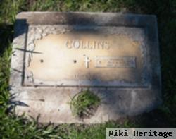 Donna N. Collins