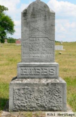 Enos Marion Hibbs