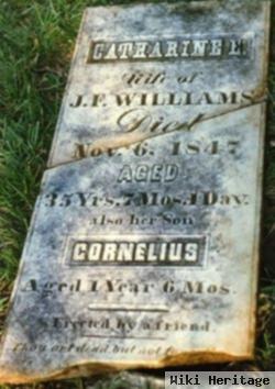 Catharine Elizabeth Whitfield Williams