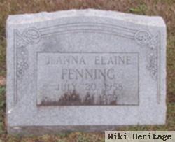 Joanna Elaine Fenning