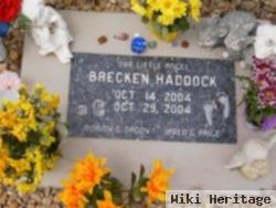 Brecken Haddock