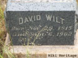 David Wilt