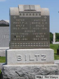 Theodore Jul Blitz