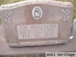 Joe Hagedorn