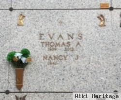 Thomas A Evans