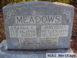 David H. Meadows