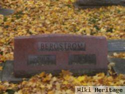 John Bergstrom