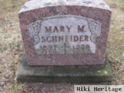 Mary M Schneider