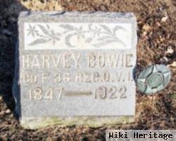 Harvey Bowie