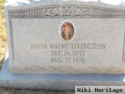 David Wayne Livingston