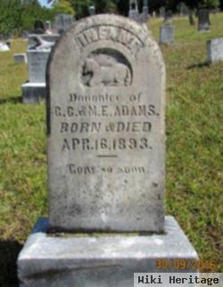 Infant Daughter Adams