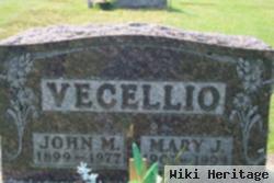 Mary J Zandi Vecellio