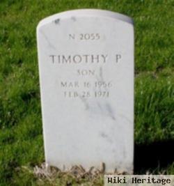 Timothy P Holmes