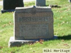 Louis P Bohnenberger