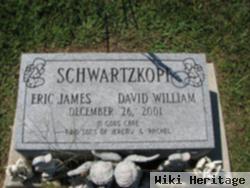 David William Schwartzkopf