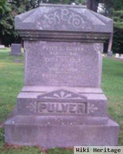 Peter L. Pulver