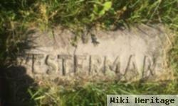 M Westerman