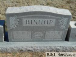 Albert M Bishop