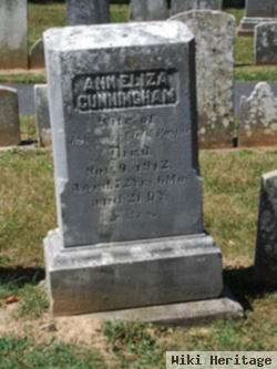 Ann Eliza Cunningham Payne