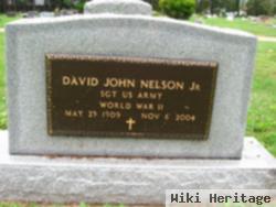 David John Nelson, Jr