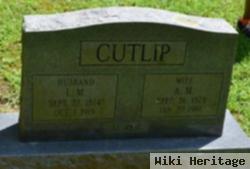 L. M. Cutlip