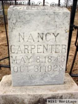 Nancy Louisa Hinton Carpenter