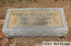 Mary Burnice Carnes