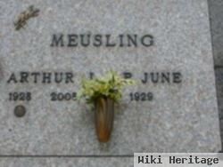 Arthur Meusling