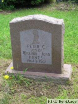 Peter C. Hayes