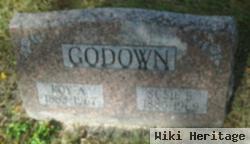 Roy Allen Godown