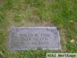 David H Fish