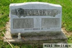 Terri A Clark