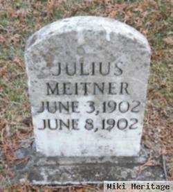 Julius Meitner