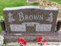 Harold Rawleigh Brown