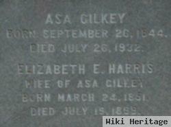 Elizabeth Eunice "lizzie" Harris Gilkey