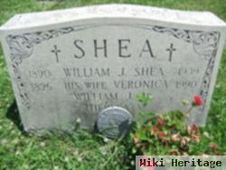 William John Shea