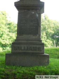 Julia Ann Williams Williams