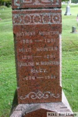 Anthony Mountain