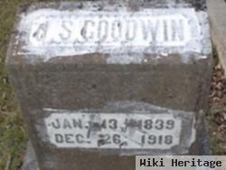 J. S. Goodwin