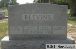 Kenneth Edgar Blevins